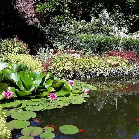 ゲストハウス Avec Piscine La Buissiere - Fernelmont