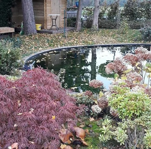 Avec Piscine La Buissiere - Fernelmont 3*